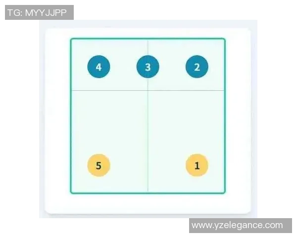 上海排球队引领最新排球战术十大趋势解析与应用技巧分享