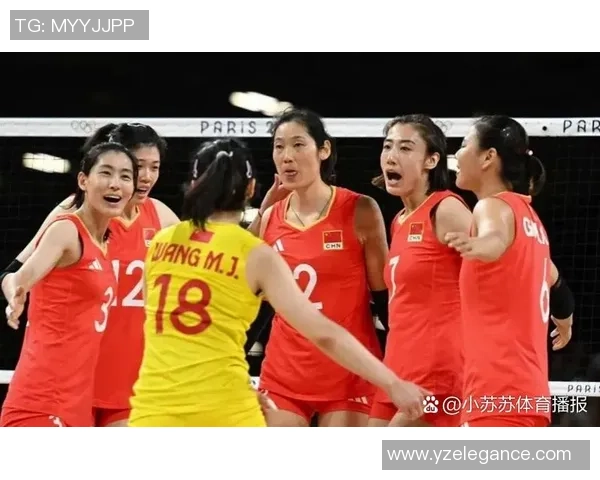 上海排球队整体压制表现分析及未来发展方向探讨