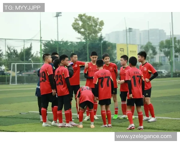 少年足球少年足球的梦想与坚持在绿茵场上绽放光彩的青春故事